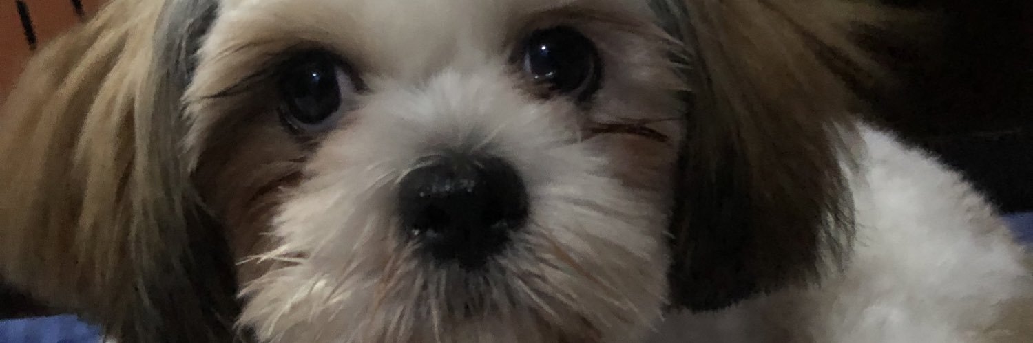 katcmallabo's profile banner image