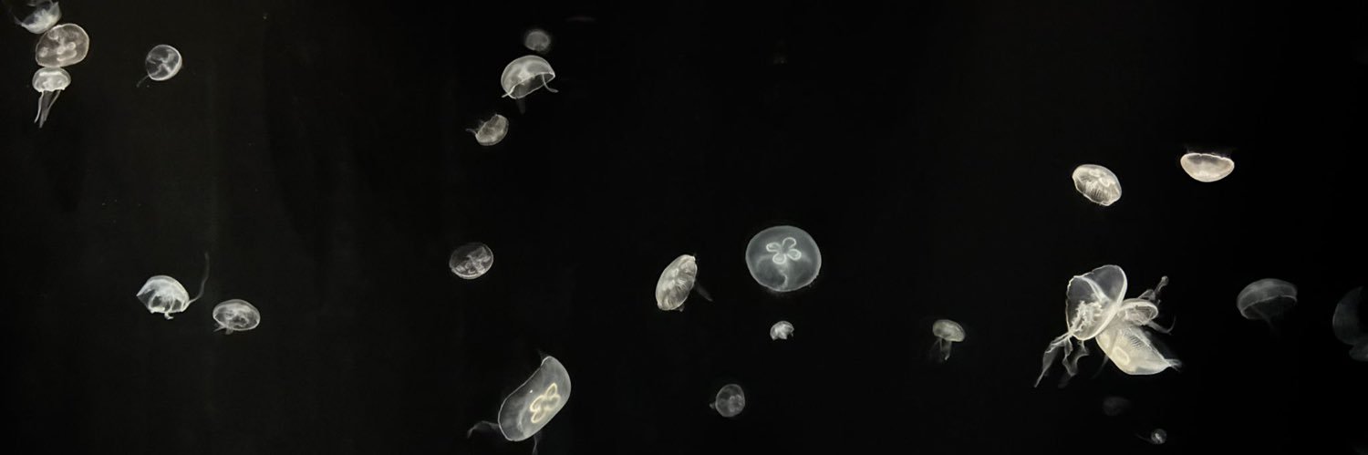 Reiss banner