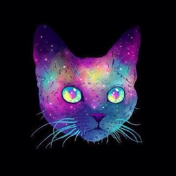 IAmKinny's profile banner image
