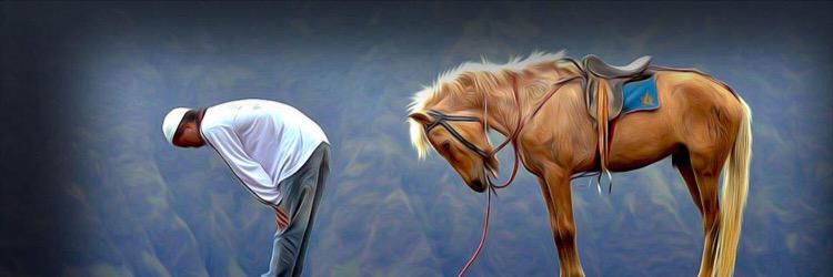 Hasanozdenn's profile banner image