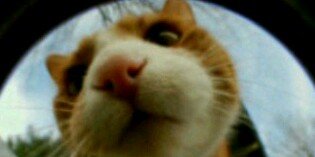 Devikhairani6's profile banner image