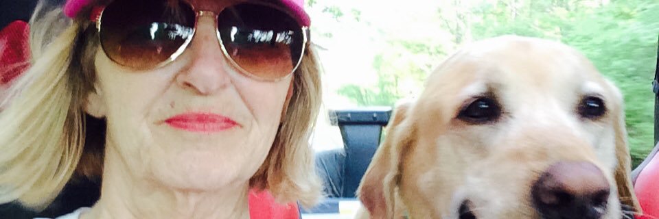 HaleyGreen17's profile banner image