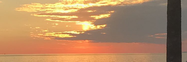 Byazzz1's profile banner image