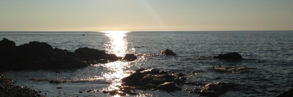 Amy_MacDonald13's profile banner image
