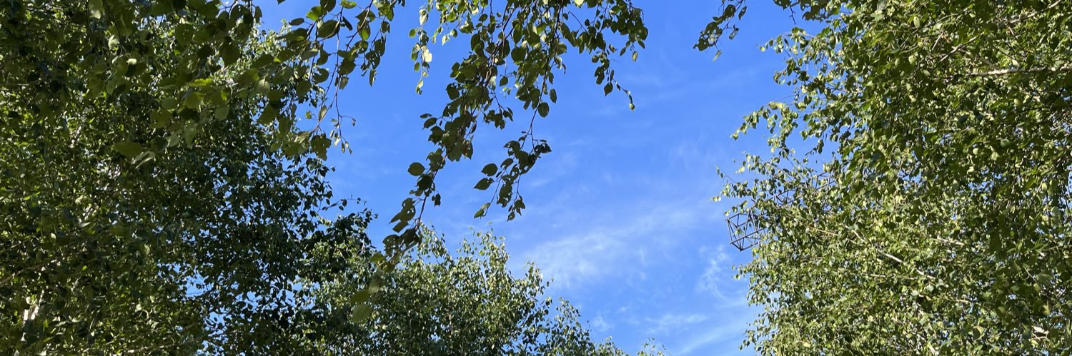 Mikkel Højer banner