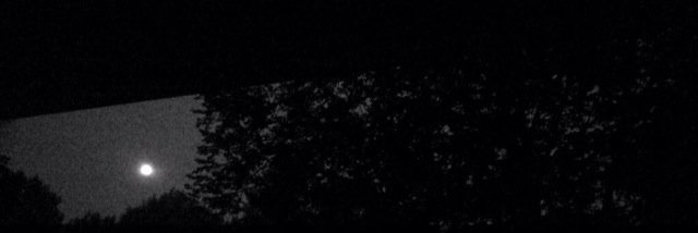 xoshai's profile banner image