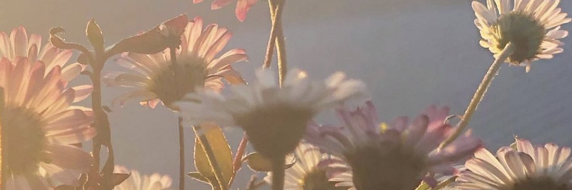 S_deMne's profile banner image