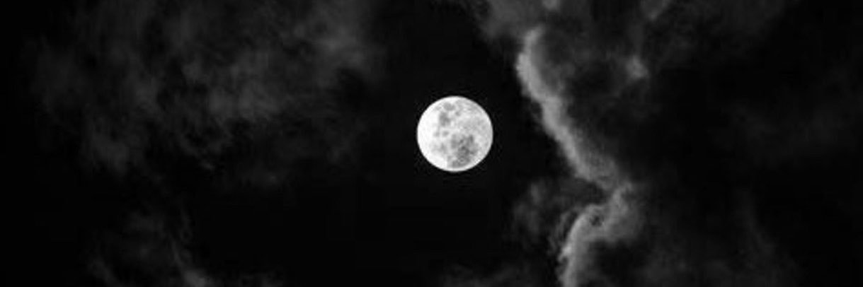 n_nc_1's profile banner image