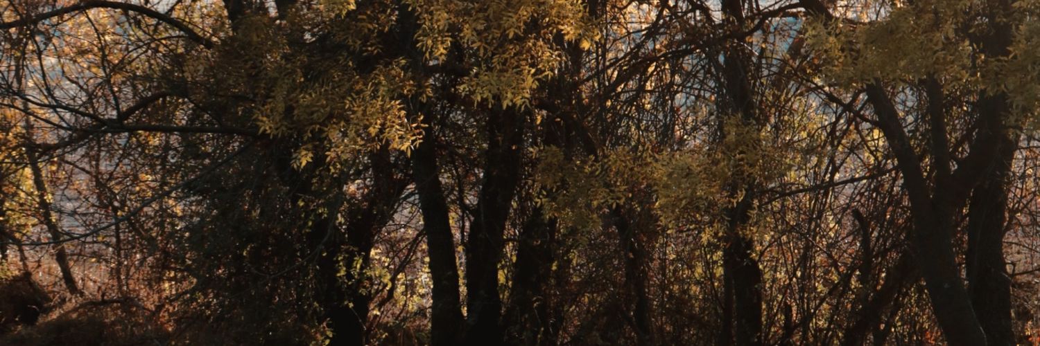 Fer_dn_21's profile banner image
