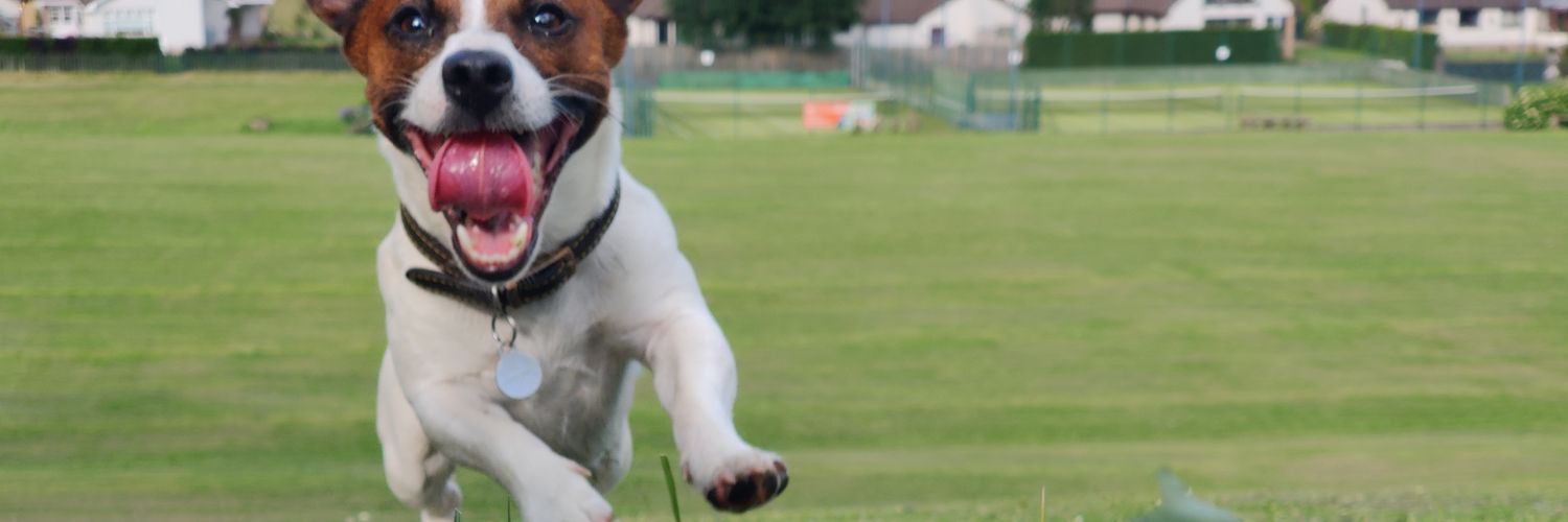 Spannermonkey89's profile banner image