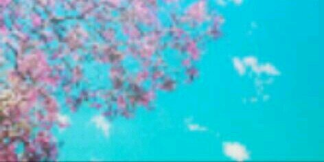 Annepeters22's profile banner image