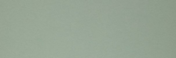 morganerickson_'s profile banner image