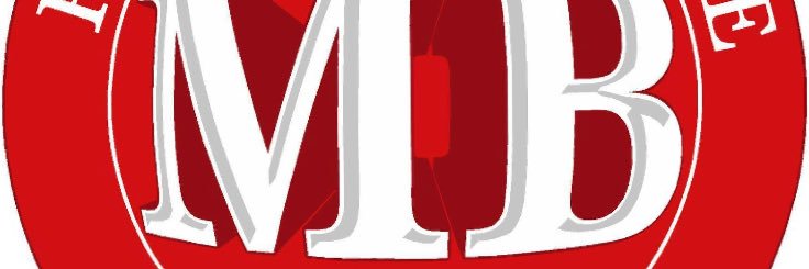 holvidlib2010's profile banner image