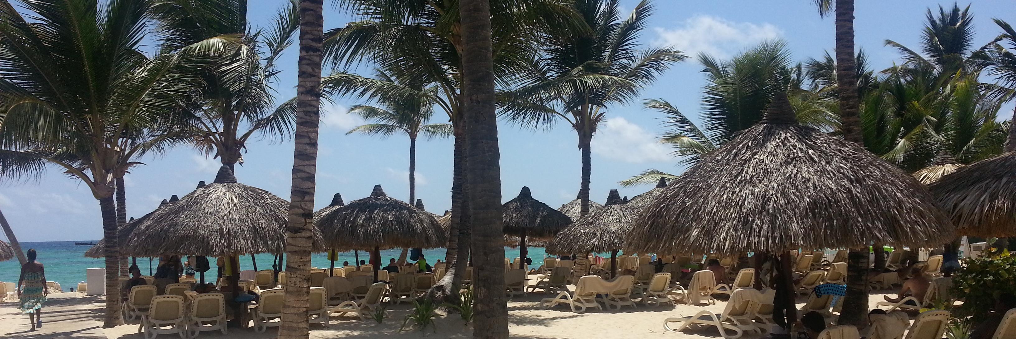 Jessica Crecco banner