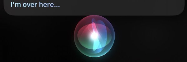 Lie_Navigator Profile Banner