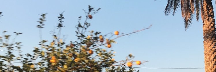 joodthu's profile banner image