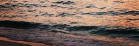 sarahraza's profile banner image