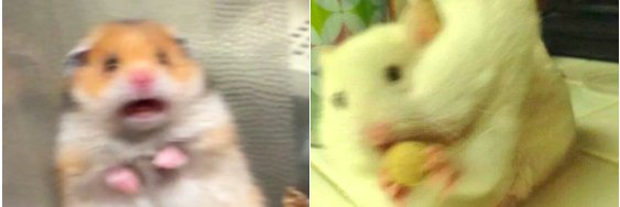 C4K3L0V3R's profile banner image