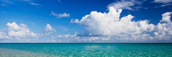 rikimario Profile Banner