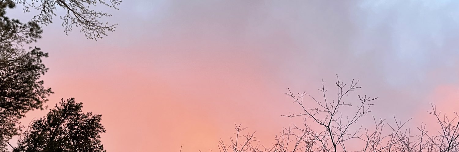 AlanBeauvais's profile banner image