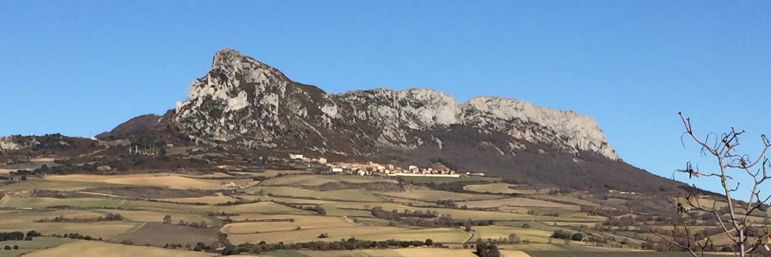 J. L. Palacios banner