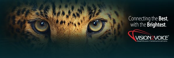Vision2VoiceInc's profile banner image