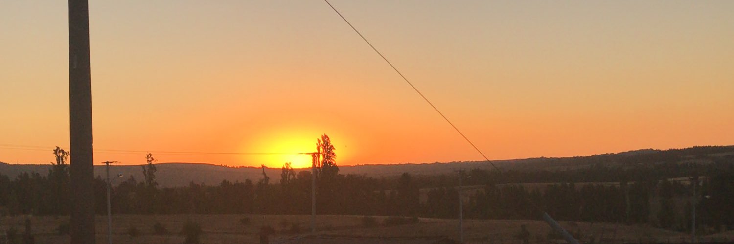 Paulina Saavedra banner