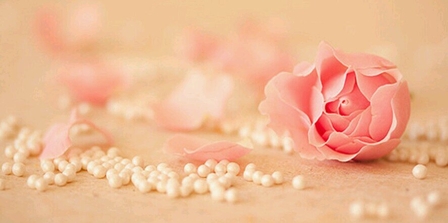 dek_ya98's profile banner image