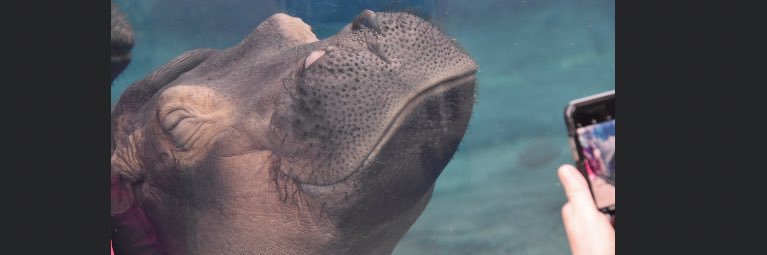 •Nikki• banner