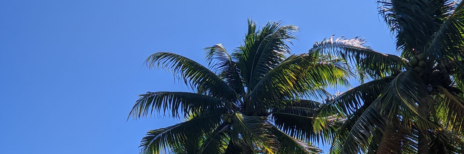 jaac__'s profile banner image
