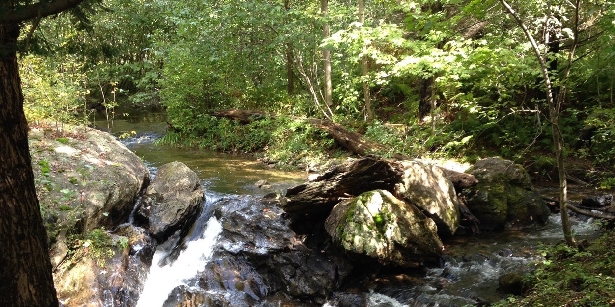 Heather Adams banner