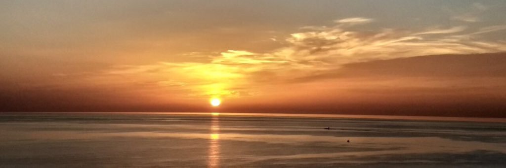 catarodriguez__'s profile banner image
