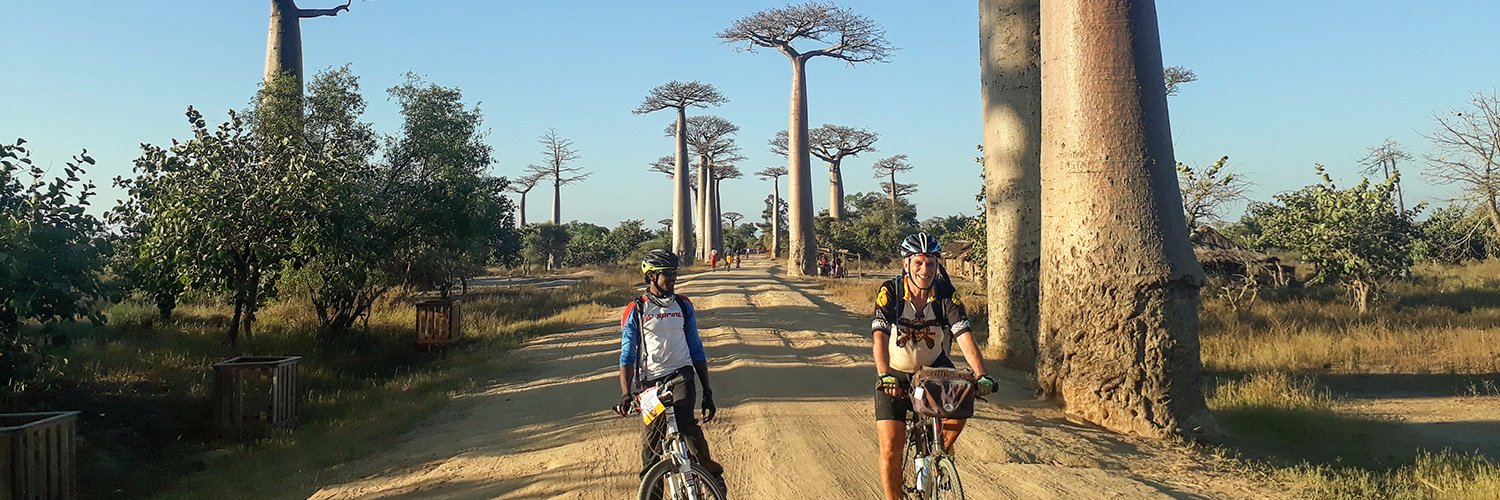 TDA Global Cycling banner
