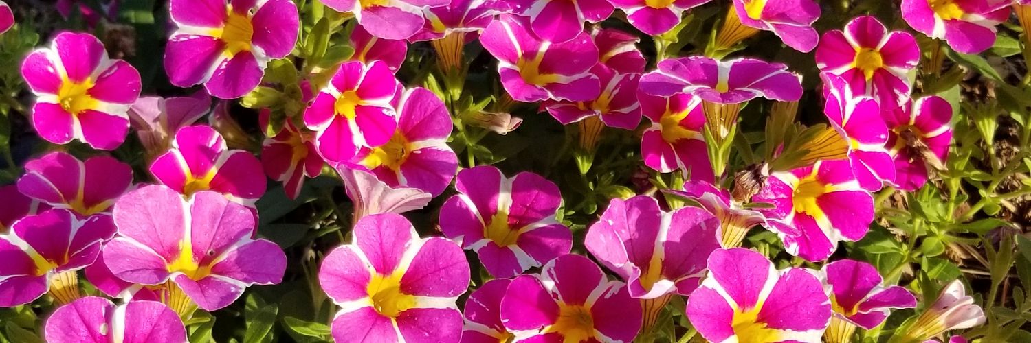 jesmosmag's profile banner image