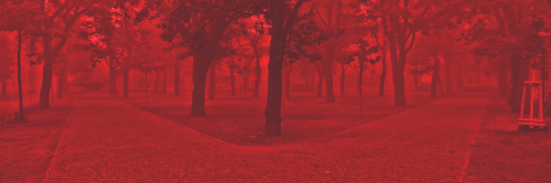 TheGreenWalter's profile banner image