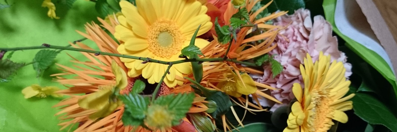 1040_t's profile banner image