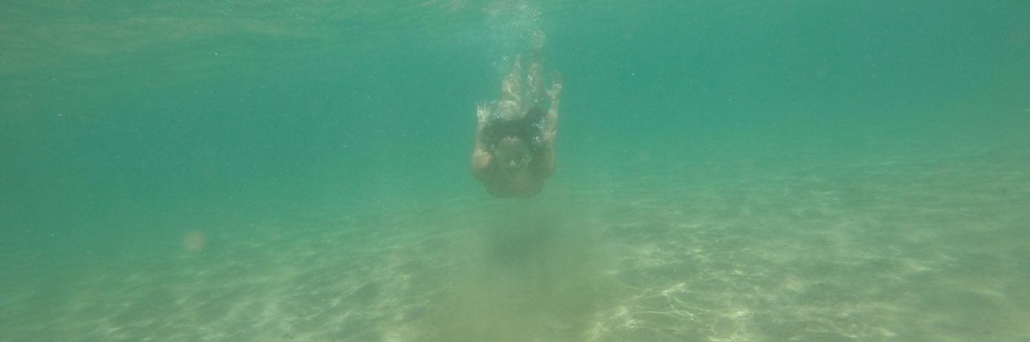 miascarvalho's profile banner image