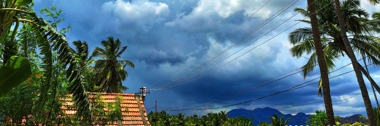 Merine_Rajamani's profile banner image