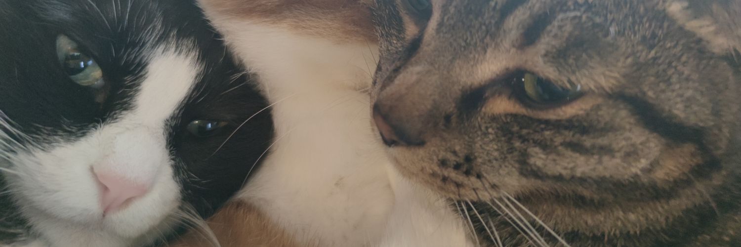 masatan51's profile banner image