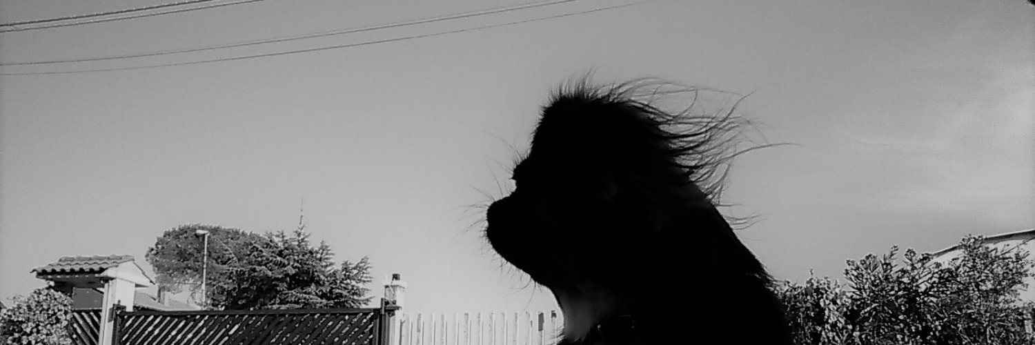 angelainNL's profile banner image