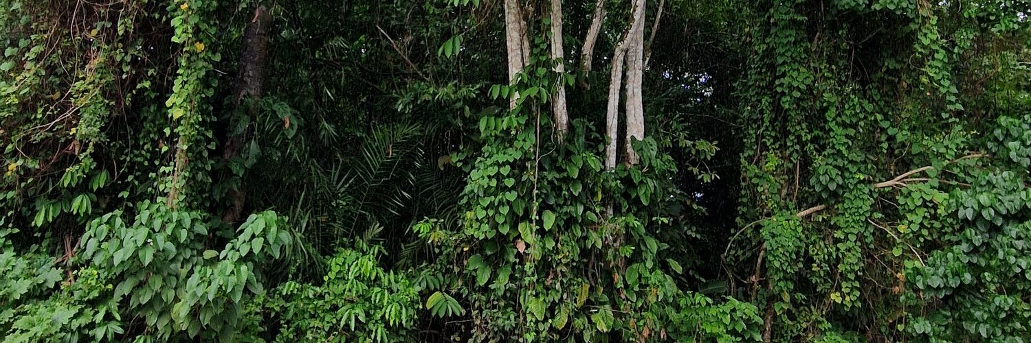 btcmike01's profile banner image