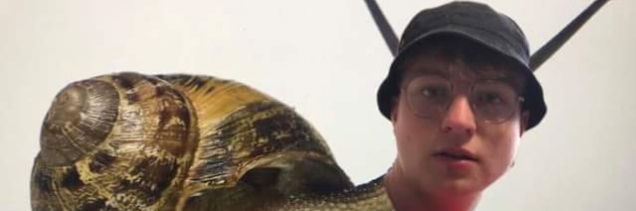 MappAlex's profile banner image