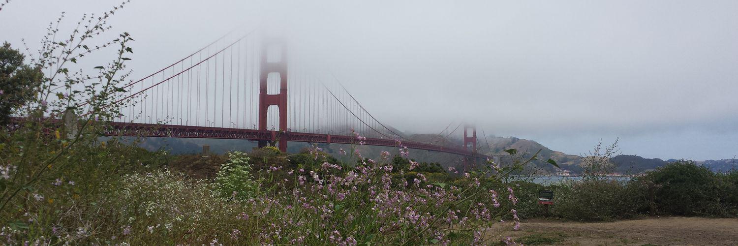 PipePinzon's profile banner image