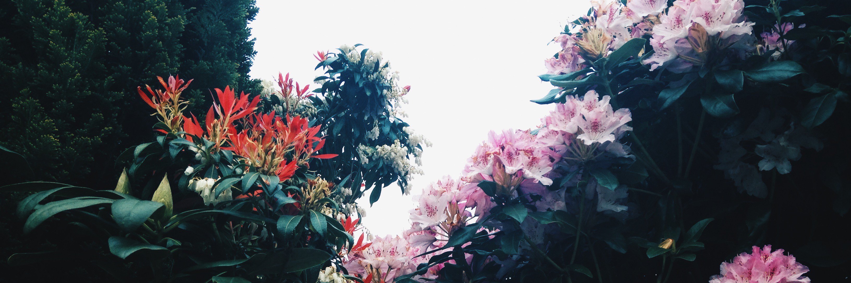 brigid_johnson's profile banner image