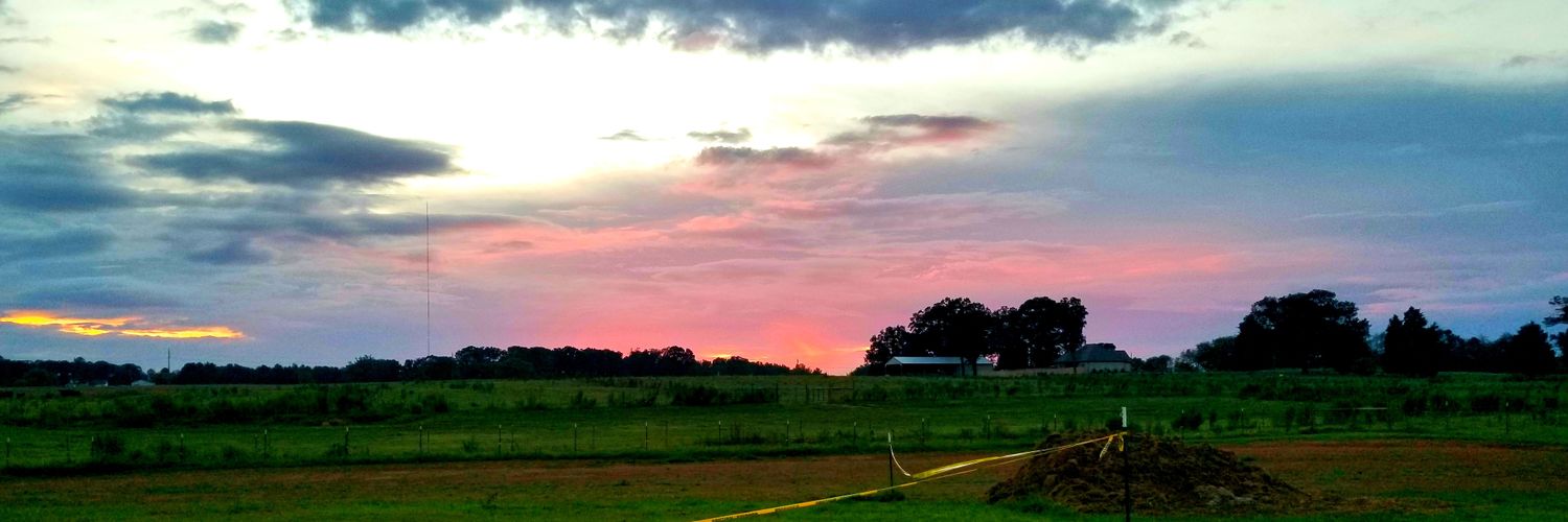 KelliReding's profile banner image