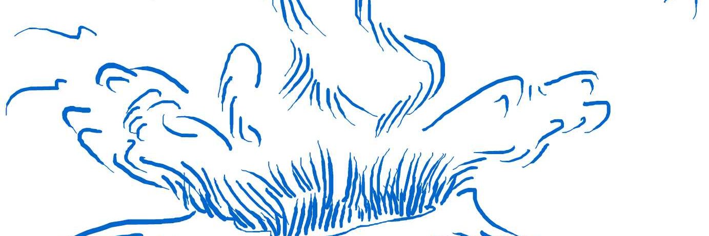 anaejavier's profile banner image