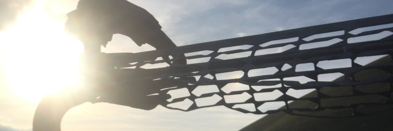 leosoli1's profile banner image