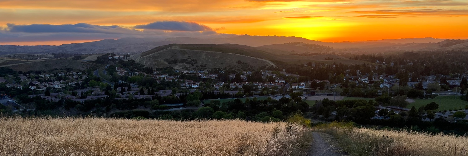 Danis Tazetdinov banner