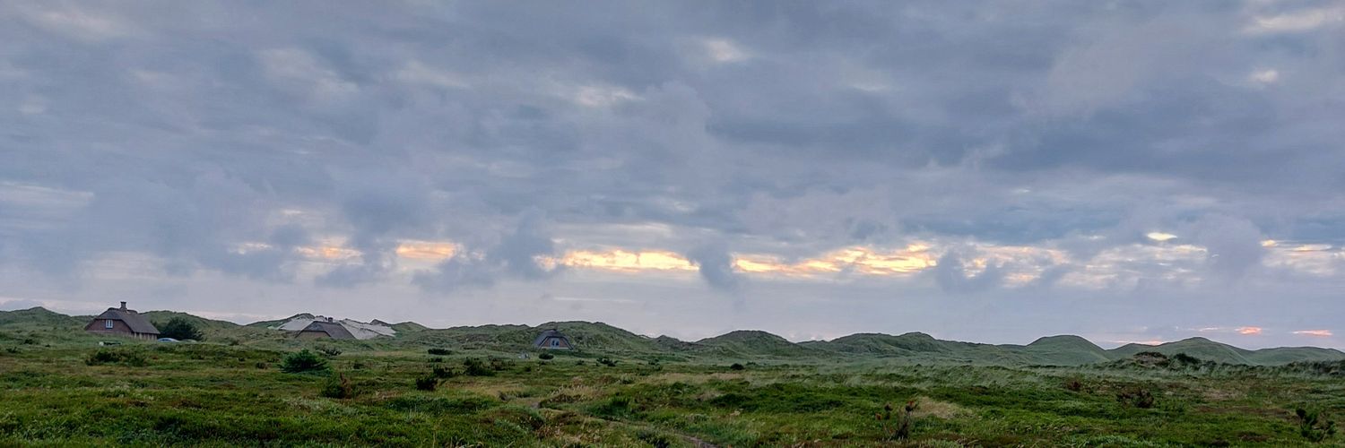 Tietsje van Gelder 🗨🐦 banner