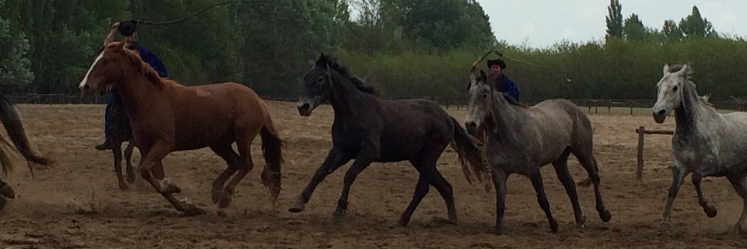 Brijesh Sharrma banner